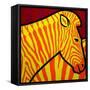 Cadmium Zebra-John Nolan-Framed Stretched Canvas