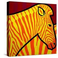 Cadmium Zebra-John Nolan-Stretched Canvas