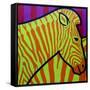 Cadmium Zebra-John Nolan-Framed Stretched Canvas