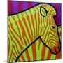 Cadmium Zebra-John Nolan-Mounted Giclee Print