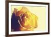 Cadmium-Andreas Stridsberg-Framed Giclee Print