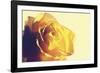 Cadmium-Andreas Stridsberg-Framed Giclee Print