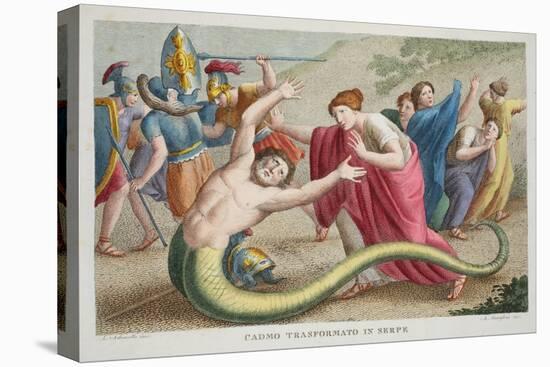 Cadmus into a Serpent, Book IV, Illustration from Ovid's Metamorphoses, Florence, 1832-Luigi Ademollo-Stretched Canvas