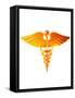 Caduceus, Artwork-Victor Habbick-Framed Stretched Canvas