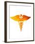 Caduceus, Artwork-Victor Habbick-Framed Photographic Print