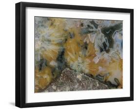 Caelum-Jason Jade-Framed Giclee Print