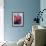 Caen Anemones in a Blue Jug-Karen Armitage-Framed Giclee Print displayed on a wall