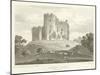 Caerdiff Castle, Glamorganshire (Engraving)-English School-Mounted Giclee Print