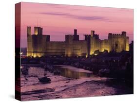 Caernarfon (Caernarvon) Castle, Unesco World Heritage Site, Gwynedd, Wales, United Kingdom-Adam Woolfitt-Stretched Canvas