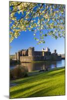Caerphilly Castle, Gwent, Wales, United Kingdom, Europe-Billy Stock-Mounted Photographic Print