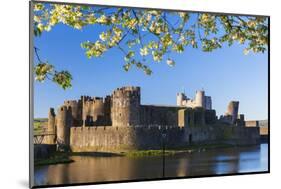 Caerphilly Castle, Gwent, Wales, United Kingdom, Europe-Billy Stock-Mounted Photographic Print