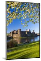 Caerphilly Castle, Gwent, Wales, United Kingdom, Europe-Billy Stock-Mounted Photographic Print