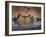 Caerphilly Castle in southern Wales, United Kingdom-Alan Klehr-Framed Photographic Print