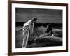 CAESAR AND CLEOPATRA, 1945 directed by GABRIEL PASCAL Claude Rains and Vivien Leigh (b/w photo)-null-Framed Photo