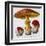 Caesar's Amanite (Agaricus Caesaricus) (Edible)-null-Framed Art Print