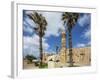 Caesarea Harbor National Park, Crusader City, a Roman Sarcophagus Adorned with Rosettes and the Min-Massimo Borchi-Framed Photographic Print