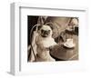 Caf� Pug-Jim Dratfield-Framed Art Print