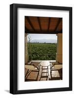 Cafayate Wine Resort, Cafayate, Salta Province, Argentina, South America-Yadid Levy-Framed Photographic Print