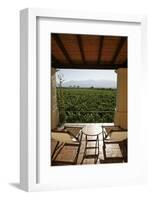 Cafayate Wine Resort, Cafayate, Salta Province, Argentina, South America-Yadid Levy-Framed Photographic Print