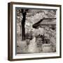 Café, Aix-en-Provence-Alan Blaustein-Framed Photographic Print