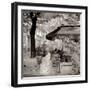 Café, Aix-en-Provence-Alan Blaustein-Framed Photographic Print