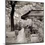 Café, Aix-en-Provence-Alan Blaustein-Mounted Photographic Print