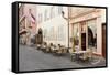 Cafe Au Croissant Dore, Rue Marchands, Colmar, Alsace, France, Europe-Markus Lange-Framed Stretched Canvas