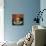 Cafe Au Lait-Jennifer Garant-Stretched Canvas displayed on a wall