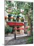 Cafe Beauclaire, Provence, 2004-Trevor Neal-Mounted Giclee Print