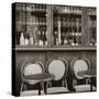 Cafe/Brasserie, Marais District, Paris, France-Jon Arnold-Stretched Canvas