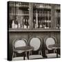 Cafe/Brasserie, Marais District, Paris, France-Jon Arnold-Stretched Canvas