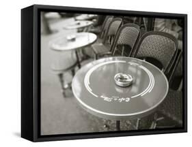 Cafe De Flore, Boulevard St. Germain, Paris, France-Jon Arnold-Framed Stretched Canvas