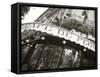 Cafe De Flore, Boulevard St. Germain, Paris, France-Jon Arnold-Framed Stretched Canvas