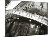 Cafe De Flore, Boulevard St. Germain, Paris, France-Jon Arnold-Mounted Photographic Print