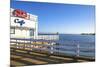 Cafe in Malibu Pier, Los Angeles, USA-Fran?oise Gaujour-Mounted Premium Photographic Print