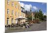 Cafe in Torvet Square, Hillerod, Zealand, Denmark, Europe-Stuart Black-Mounted Photographic Print