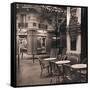 Café, Montmartre-Alan Blaustein-Framed Stretched Canvas