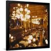 Cafe New York in Budapest, Hungary-null-Framed Art Print