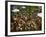 Cafe Overview, Leidseplein, Amsterdam, Holland-Walter Bibikow-Framed Photographic Print