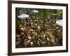 Cafe Overview, Leidseplein, Amsterdam, Holland-Walter Bibikow-Framed Photographic Print