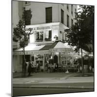 Cafe, Quai De L'Hotel De Ville, Marais District, Paris, France-Jon Arnold-Mounted Photographic Print