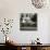 Cafe, Quai De L'Hotel De Ville, Marais District, Paris, France-Jon Arnold-Photographic Print displayed on a wall