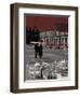 Cafe Tables in Plaza Mayor, Madrid, Spain-David Barnes-Framed Photographic Print