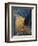 Cafe Terrace at Night-Vincent van Gogh-Framed Giclee Print