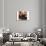 Cafe Time 01-Rick Novak-Premium Giclee Print displayed on a wall