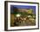 Cafes in Main Square of Old Town, Porto Vecchio, Corsica, France, Europe-Stuart Black-Framed Photographic Print