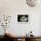 Caffe Macchiato I-Erin Berzel-Framed Photographic Print displayed on a wall