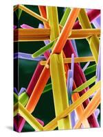 Caffeine Crystals, SEM-Dr. Jeremy Burgess-Stretched Canvas