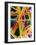 Caffeine Crystals, SEM-Dr. Jeremy Burgess-Framed Photographic Print