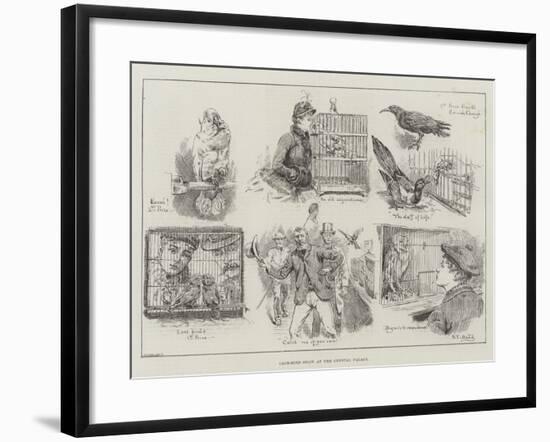 Cage-Bird Show at the Crystal Palace-S.t. Dadd-Framed Giclee Print